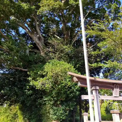火皇子神社(千葉県)
