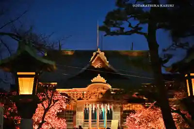 桜神宮(東京都)