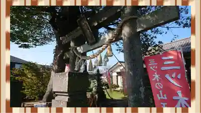 三ツ木神社(埼玉県)