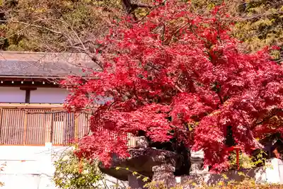 冨士山稲荷神社(長野県)