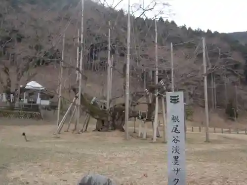 淡墨観音(岐阜県)