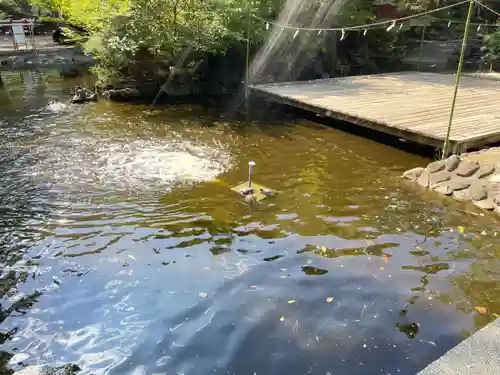 平塚八幡宮の御朱印