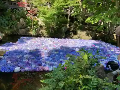 楽法寺(雨引観音)の{uncategorized: "未分類", other: "その他", undefined: "問題あり", building: "その他建物", grave: "お墓", sacred_gate: "鳥居", guardian: "狛犬", statue: "像", buddha: "仏像", history: "歴史", nature: "自然", garden: "庭園", animal: "動物", pagoda: "塔", temizu: "手水舎", mountain_gate: "山門・神門", sanctuary: "本殿・本堂", subordinate: "末社・摂社", art: "芸術", scenery: "景色", jizo: "地蔵", ema: "絵馬", goshuin: "御朱印", omikuji: "おみくじ", items: "授与品その他", amulet: "お守り", goshuincho: "御朱印帳", eats: "食事", festival: "お祭り", votive_dance: "神楽", shichigosan: "七五三参", wedding: "結婚式", experience: "体験その他", initially: "初詣", around: "周辺", anti_infection: "感染症対策"}