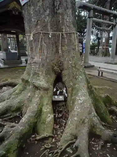 一言主神社の自然