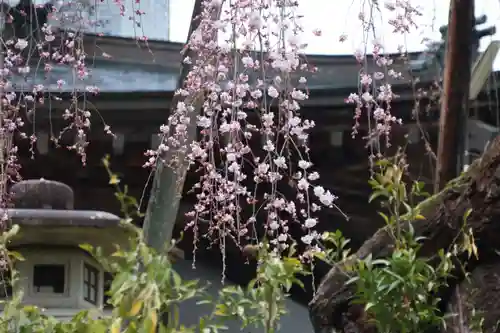 建福寺の景色