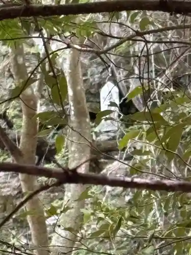 弥谷観音堂(徳島県)