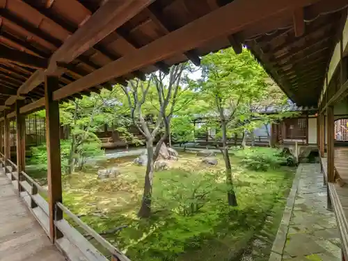 建仁寺（建仁禅寺）(京都府)