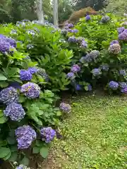 有珠善光寺(北海道)