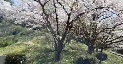 白狐山光星寺(山形県)