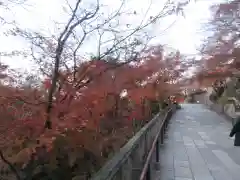 清水寺(京都府)