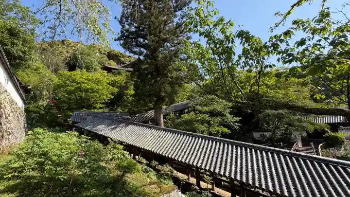 長谷寺の{uncategorized: "未分類", other: "その他", undefined: "問題あり", building: "その他建物", grave: "お墓", sacred_gate: "鳥居", guardian: "狛犬", statue: "像", buddha: "仏像", history: "歴史", nature: "自然", garden: "庭園", animal: "動物", pagoda: "塔", temizu: "手水舎", mountain_gate: "山門・神門", sanctuary: "本殿・本堂", subordinate: "末社・摂社", art: "芸術", scenery: "景色", jizo: "地蔵", ema: "絵馬", goshuin: "御朱印", omikuji: "おみくじ", items: "授与品その他", amulet: "お守り", goshuincho: "御朱印帳", eats: "食事", festival: "お祭り", votive_dance: "神楽", shichigosan: "七五三参", wedding: "結婚式", experience: "体験その他", initially: "初詣", around: "周辺", anti_infection: "感染症対策"}