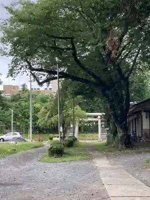 笠原神社(茨城県)