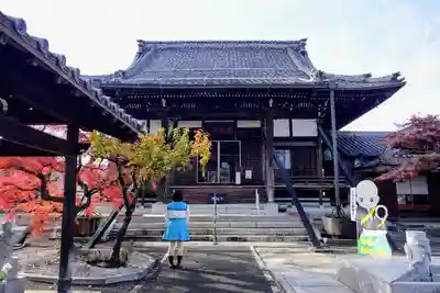 蓮国寺の本殿・本堂