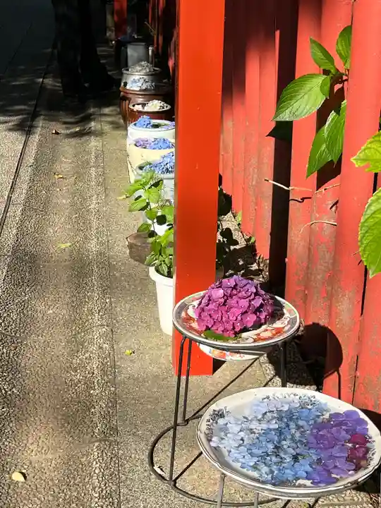 川越八幡宮(埼玉県)