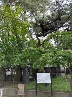 葛飾神社(千葉県)