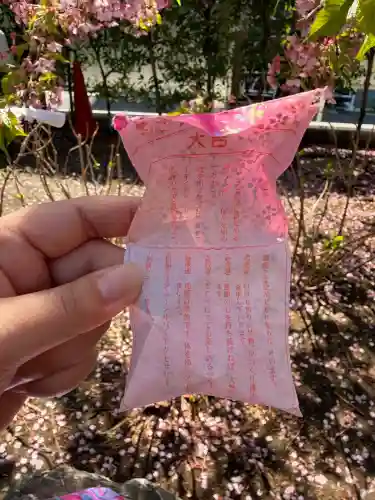 桜神宮の{uncategorized: "未分類", other: "その他", undefined: "問題あり", building: "その他建物", grave: "お墓", sacred_gate: "鳥居", guardian: "狛犬", statue: "像", buddha: "仏像", history: "歴史", nature: "自然", garden: "庭園", animal: "動物", pagoda: "塔", temizu: "手水舎", mountain_gate: "山門・神門", sanctuary: "本殿・本堂", subordinate: "末社・摂社", art: "芸術", scenery: "景色", jizo: "地蔵", ema: "絵馬", goshuin: "御朱印", omikuji: "おみくじ", items: "授与品その他", amulet: "お守り", goshuincho: "御朱印帳", eats: "食事", festival: "お祭り", votive_dance: "神楽", shichigosan: "七五三参", wedding: "結婚式", experience: "体験その他", initially: "初詣", around: "周辺", anti_infection: "感染症対策"}