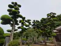 禅海寺(静岡県)