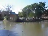 旗上弁財天社の自然