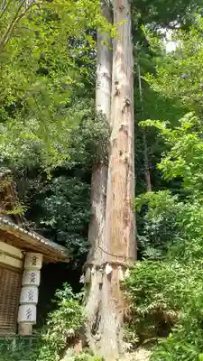 宇太水分神社（中社）(奈良県)