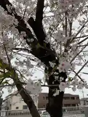 川嶋神社(愛知県)