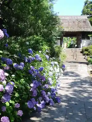 大聖寺（土浦大師不動尊）(茨城県)