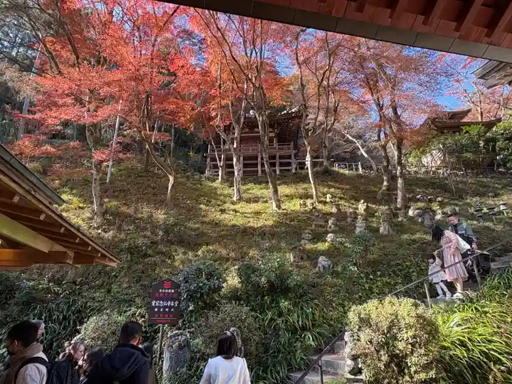 愛宕念仏寺(京都府)