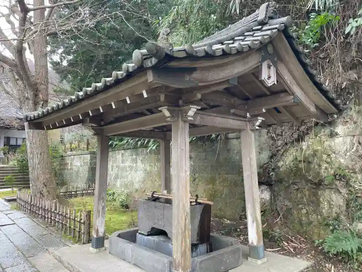 安國論寺(安国論寺)の{uncategorized: "未分類", other: "その他", undefined: "問題あり", building: "その他建物", grave: "お墓", sacred_gate: "鳥居", guardian: "狛犬", statue: "像", buddha: "仏像", history: "歴史", nature: "自然", garden: "庭園", animal: "動物", pagoda: "塔", temizu: "手水舎", mountain_gate: "山門・神門", sanctuary: "本殿・本堂", subordinate: "末社・摂社", art: "芸術", scenery: "景色", jizo: "地蔵", ema: "絵馬", goshuin: "御朱印", omikuji: "おみくじ", items: "授与品その他", amulet: "お守り", goshuincho: "御朱印帳", eats: "食事", festival: "お祭り", votive_dance: "神楽", shichigosan: "七五三参", wedding: "結婚式", experience: "体験その他", initially: "初詣", around: "周辺", anti_infection: "感染症対策"}