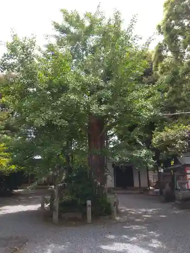 薬園八幡神社(奈良県)