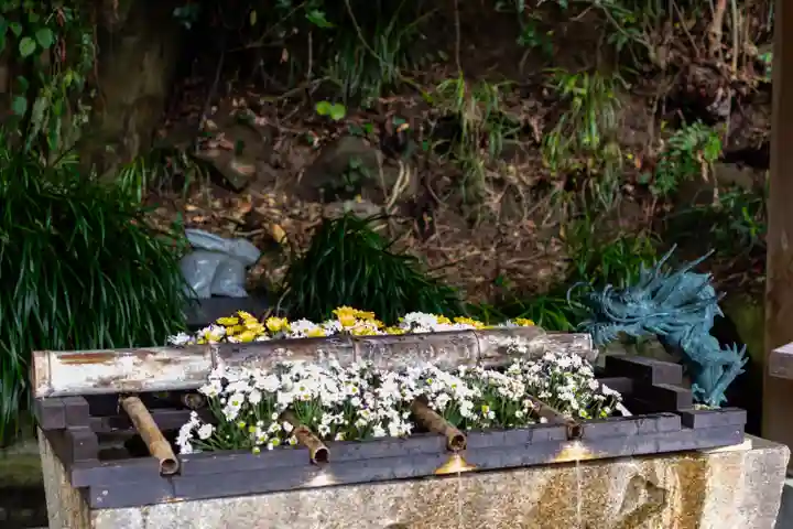 鵜戸神宮(宮崎県)