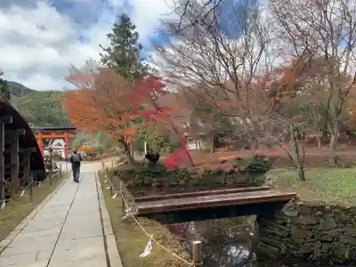 丹生都比売神社のその他建物