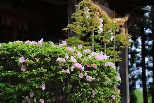 豊景神社の庭園