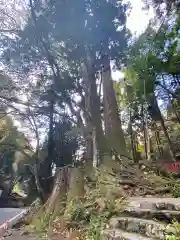 貴船神社の建物その他