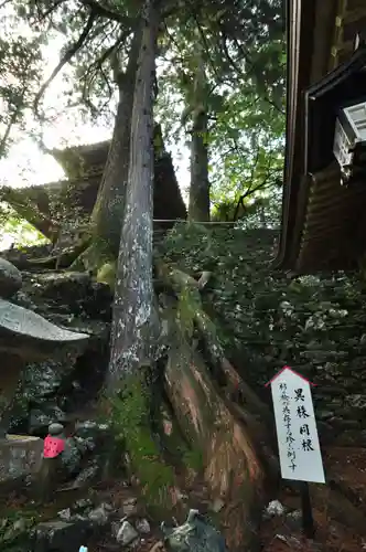 太龍寺(徳島県)