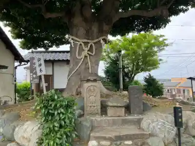 春ノ木神明社の{uncategorized: "未分類", other: "その他", undefined: "問題あり", building: "その他建物", grave: "お墓", sacred_gate: "鳥居", guardian: "狛犬", statue: "像", buddha: "仏像", history: "歴史", nature: "自然", garden: "庭園", animal: "動物", pagoda: "塔", temizu: "手水舎", mountain_gate: "山門・神門", sanctuary: "本殿・本堂", subordinate: "末社・摂社", art: "芸術", scenery: "景色", jizo: "地蔵", ema: "絵馬", goshuin: "御朱印", omikuji: "おみくじ", items: "授与品その他", amulet: "お守り", goshuincho: "御朱印帳", eats: "食事", festival: "お祭り", votive_dance: "神楽", shichigosan: "七五三参", wedding: "結婚式", experience: "体験その他", initially: "初詣", around: "周辺", anti_infection: "感染症対策"}
