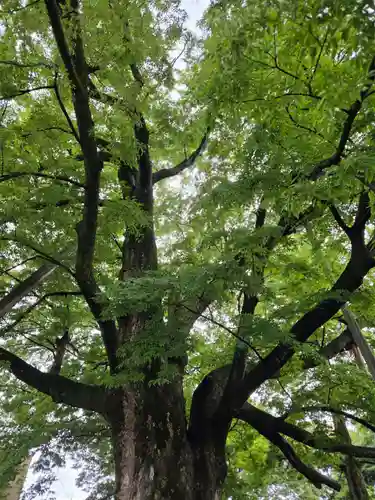神明宮(石川県)