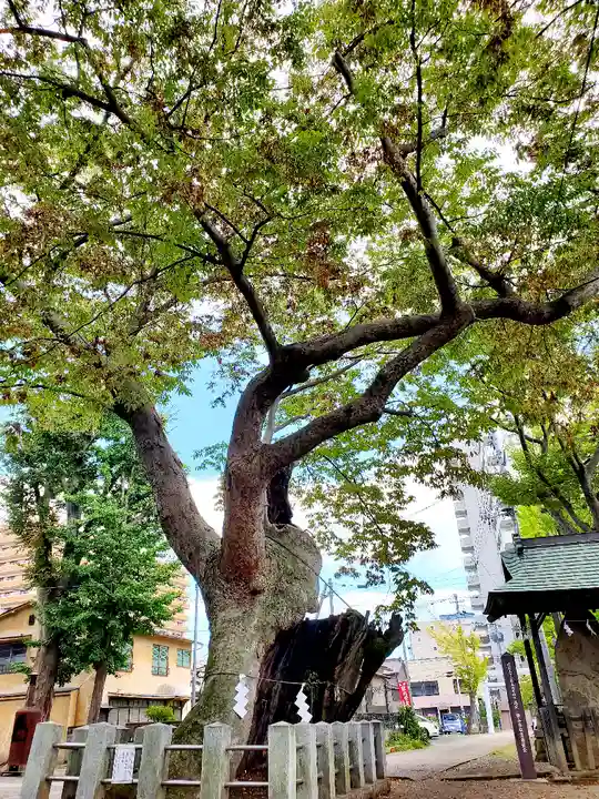 阿邪訶根神社の自然
