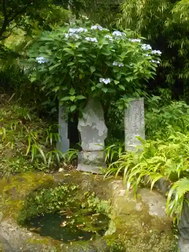 海蔵寺の景色