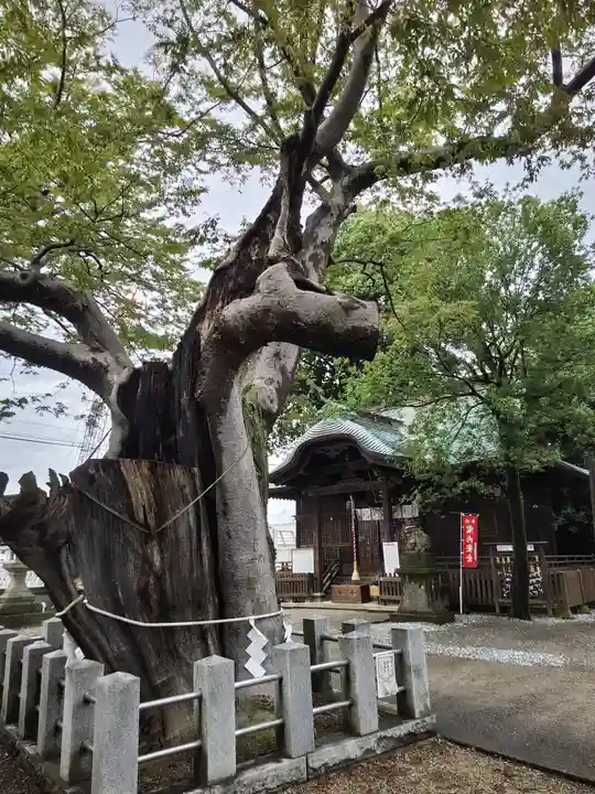 阿邪訶根神社(福島県)