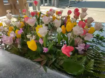 宮地嶽神社の手水舎