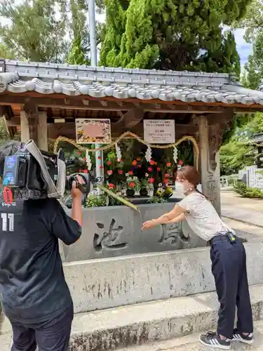 三津厳島神社の手水舎