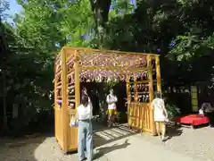 川越氷川神社(埼玉県)