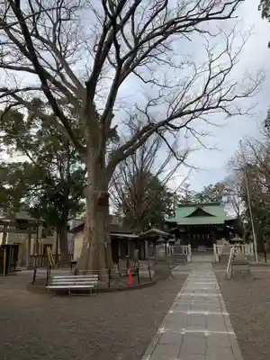 小杉神社のその他建物