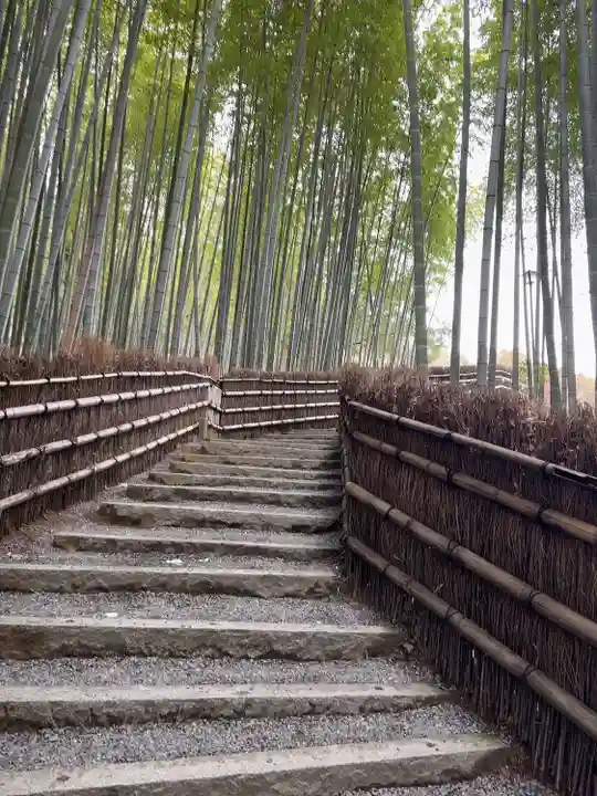 化野念仏寺(京都府)