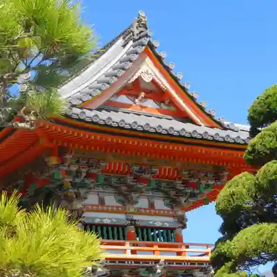 酒見寺の本殿・本堂