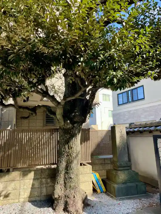 薬王寺(東京都)