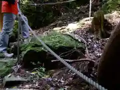 韓竈神社の自然