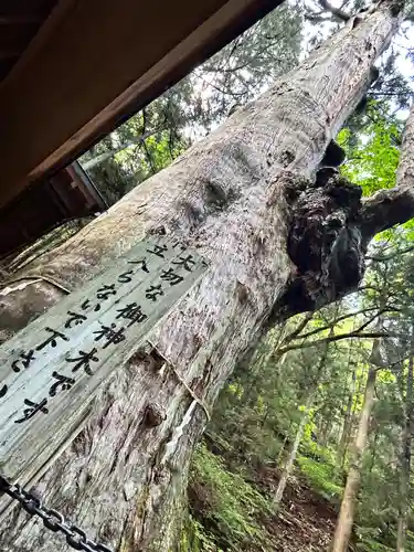神坂神社(長野県)