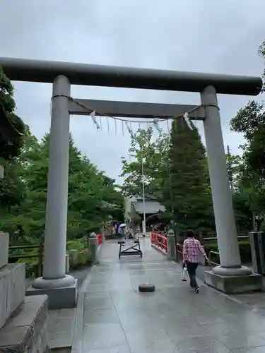 松戸神社の鳥居