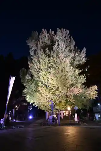 熊野大社(山形県)