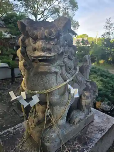 刺田比古神社の狛犬